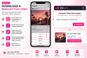 Downloading Instagram feed video using VidInsta downloader