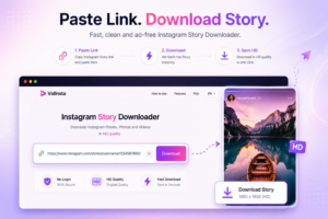Clean Instagram Story Downloader interface without ads