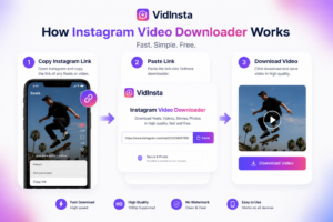 How Instagram video downloader VidInsta works step by step