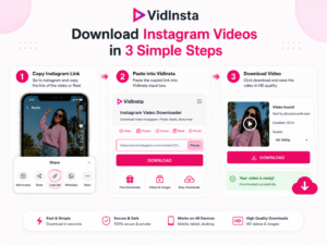 How to use Instagram video downloader online with VidInsta