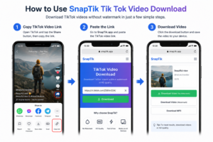How to use SnapTik Tik Tok Video Download to save TikTok videos without watermark