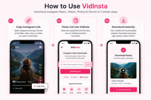 Steps to download Instagram Reels using VidInsta
