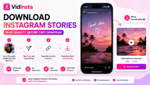 VidInsta compared with generic Instagram downloaders online
