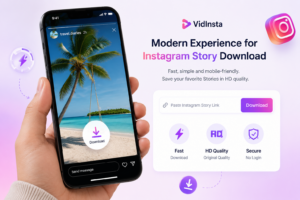 Modern mobile Instagram Story Downloader interface