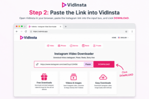 Paste Instagram URL into VidInsta downloader