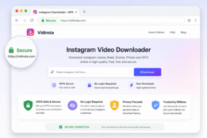 Secure Instagram downloader website with HTTPS browser protection
