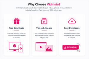 VidInsta free Instagram download tool features overview