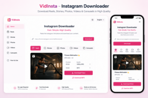 VidInsta Instagram downloader interface for Reels and Stories