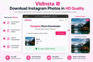 VidInsta Instagram photo saver downloading an Instagram image