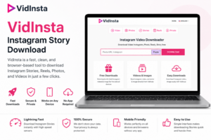 VidInsta Instagram Story Download interface on mobile browser