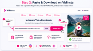 Paste Instagram URL into VidInsta download tool
