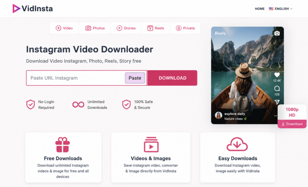 VidInsta homepage downloading Instagram Reels in HD
