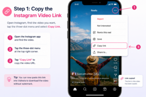 Copying an Instagram Reel link for download