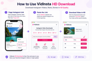 Steps to use VidInsta HD Download on browser