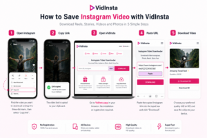 How to use VidInsta save Instagram video downloader step by step