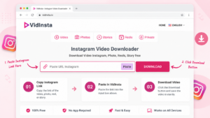 Instagram video downloader online tool in browser