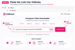 Instagram video link pasted into Vidinsta tool