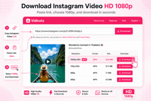 VidInsta displaying available Instagram video download resolutions