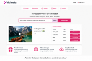 VidInsta Instagram video downloader on desktop browser