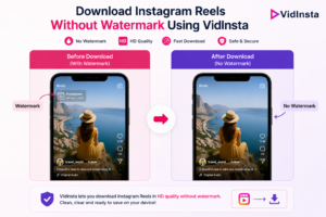 Instagram Reel downloaded without watermark using VidInsta