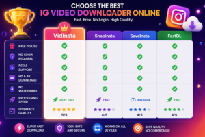 VidInsta compared with other Instagram download tools