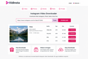 VidInstagram tool for downloading long IGTV videos